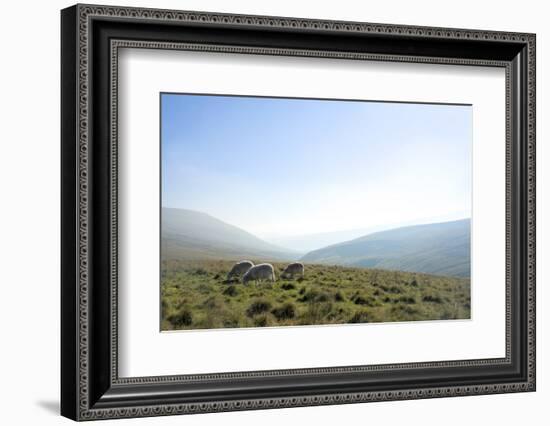 View in the Brecon Beacons National Park, Wales, United Kingdom-Graham Lawrence-Framed Photographic Print