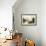 View in the Italian Lakes-Hermann Corrodi-Framed Giclee Print displayed on a wall