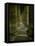 View Inside the Colonnade-Giovanni Lorenzo Bernini-Framed Premier Image Canvas