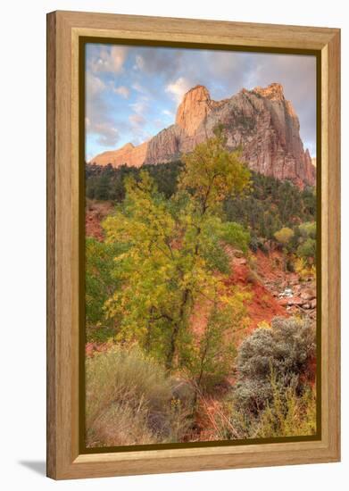 View Inside Zion Canyon-Vincent James-Framed Premier Image Canvas