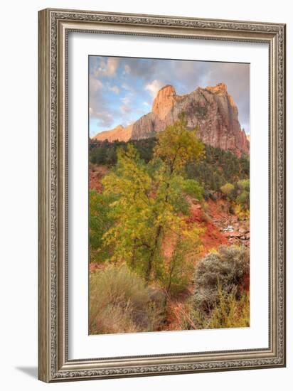 View Inside Zion Canyon-Vincent James-Framed Photographic Print