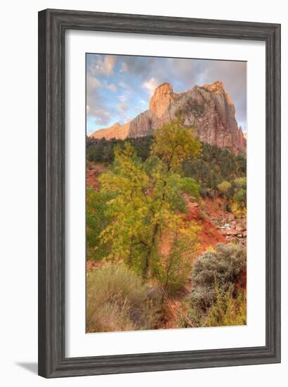 View Inside Zion Canyon-Vincent James-Framed Photographic Print