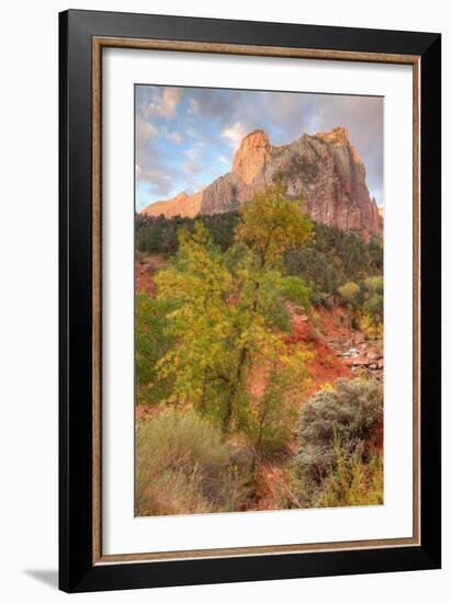 View Inside Zion Canyon-Vincent James-Framed Photographic Print