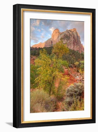 View Inside Zion Canyon-Vincent James-Framed Photographic Print