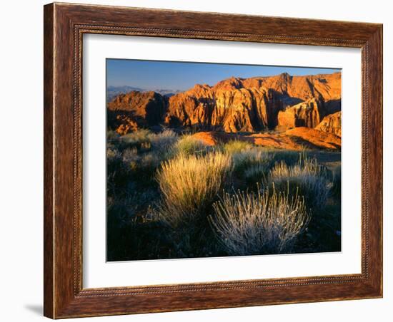 View into Snow Canyon at Sunrise, Snow Canyon State Park, Utah, USA-Scott T^ Smith-Framed Premium Photographic Print
