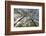 View Looking Up to Silver Birch (Betula Pendula) Canopy in Spring, Craigellachie, Cairngorms Np, UK-Mark Hamblin-Framed Photographic Print