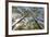 View Looking Up to Silver Birch (Betula Pendula) Canopy in Spring, Craigellachie, Cairngorms Np, UK-Mark Hamblin-Framed Photographic Print