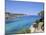 View Near Cala Portinatx, Ibiza, Balearic Islands, Spain, Europe-Firecrest Pictures-Mounted Photographic Print