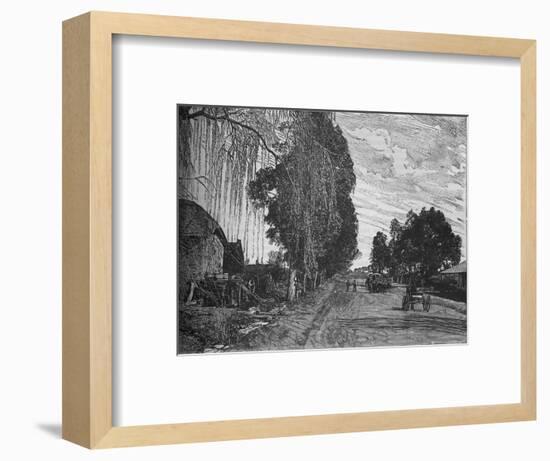 'View near Pretoria', c1880-Unknown-Framed Giclee Print