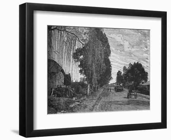 'View near Pretoria', c1880-Unknown-Framed Giclee Print