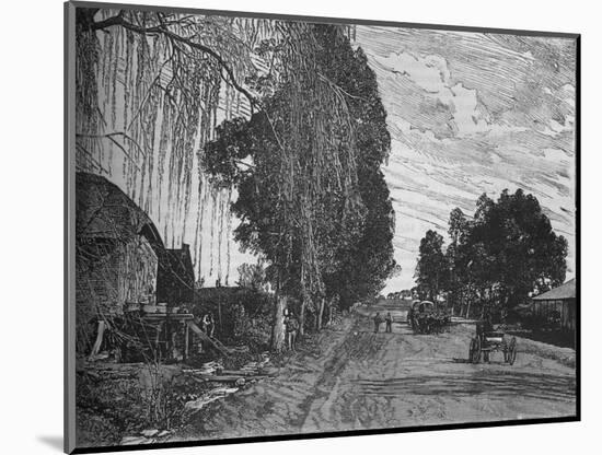 'View near Pretoria', c1880-Unknown-Mounted Giclee Print