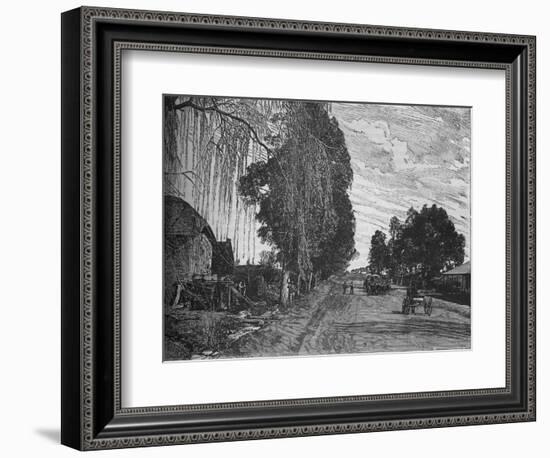 'View near Pretoria', c1880-Unknown-Framed Giclee Print