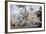 View Nearby Coupang, Timor Island, Engraving from Painting by Alphonse Pellion-null-Framed Giclee Print