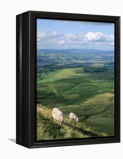 View North from Hay Bluff, with Distant Hay on Wye in Valley, Powys, Wales, United Kingdom-Richard Ashworth-Framed Premier Image Canvas