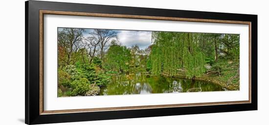 View of a botanical garden, Krakow, Poland-null-Framed Photographic Print