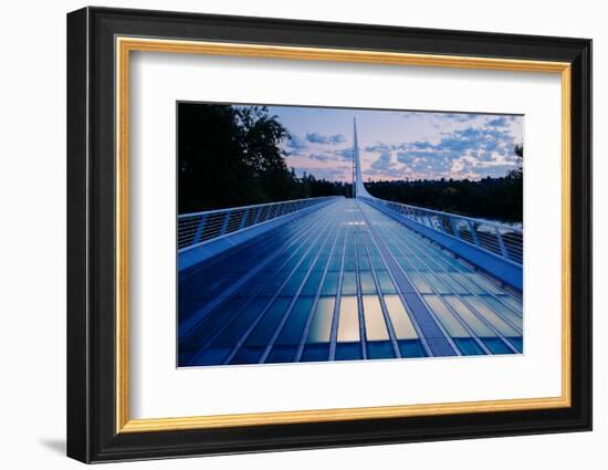 View of a bridge, Sundial Bridge at Turtle Bay, Redding, California, USA-Panoramic Images-Framed Photographic Print