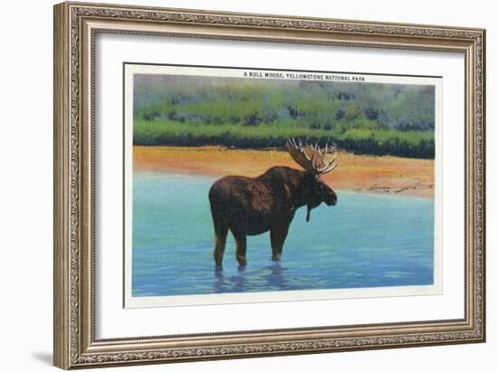 View of a Bull Moose Wading in Water, Yellowstone National Park, Wyoming-Lantern Press-Framed Art Print
