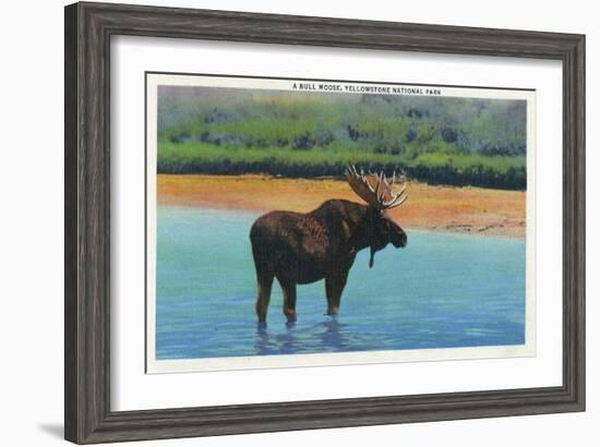 View of a Bull Moose Wading in Water, Yellowstone National Park, Wyoming-Lantern Press-Framed Art Print