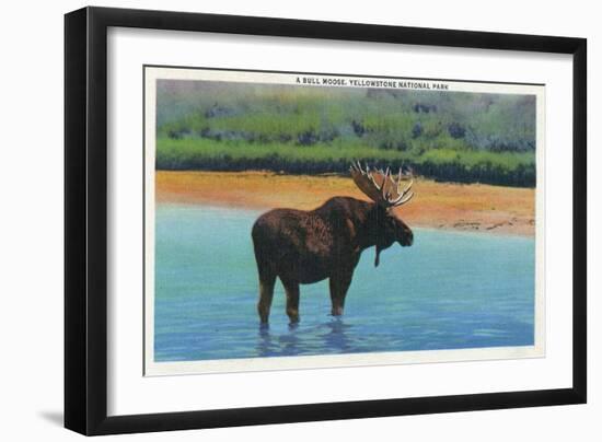 View of a Bull Moose Wading in Water, Yellowstone National Park, Wyoming-Lantern Press-Framed Art Print