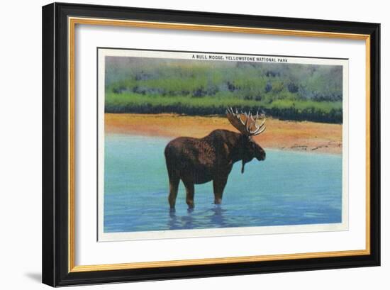 View of a Bull Moose Wading in Water, Yellowstone National Park, Wyoming-Lantern Press-Framed Art Print