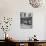 View of a Butcher's Shop in Ennis-Hans Wild-Photographic Print displayed on a wall