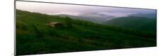 Photographic Print