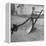 View of a Farmer's Plow-Wallace Kirkland-Framed Premier Image Canvas