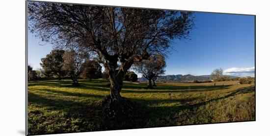 View of a field, Santa Eulalia De Roncana, Barcelona, Catalonia, Spain-null-Mounted Photographic Print