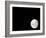 View of a Full Moon, Also Shows Mars, Which Appears as a Small Dot-Stocktrek Images-Framed Photographic Print