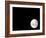 View of a Full Moon, Also Shows Mars, Which Appears as a Small Dot-Stocktrek Images-Framed Photographic Print