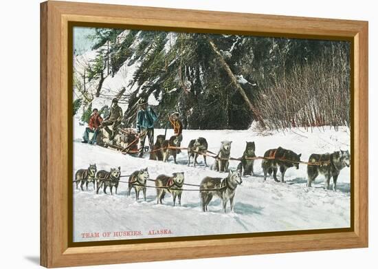 View of a Husky Dog-Sled Team - Alaska-Lantern Press-Framed Stretched Canvas