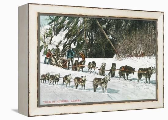 View of a Husky Dog-Sled Team - Alaska-Lantern Press-Framed Stretched Canvas