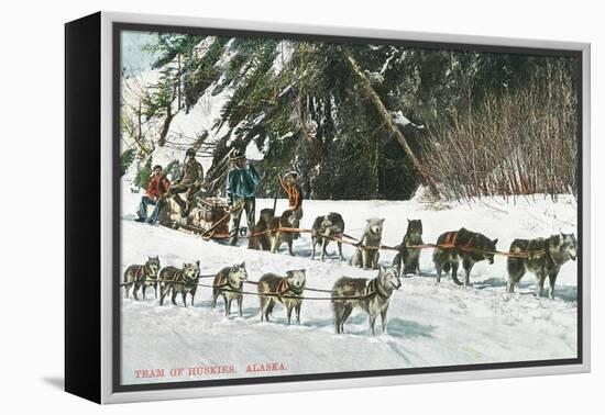 View of a Husky Dog-Sled Team - Alaska-Lantern Press-Framed Stretched Canvas