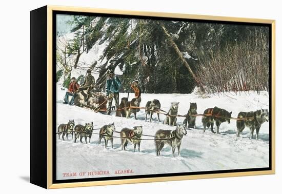 View of a Husky Dog-Sled Team - Alaska-Lantern Press-Framed Stretched Canvas