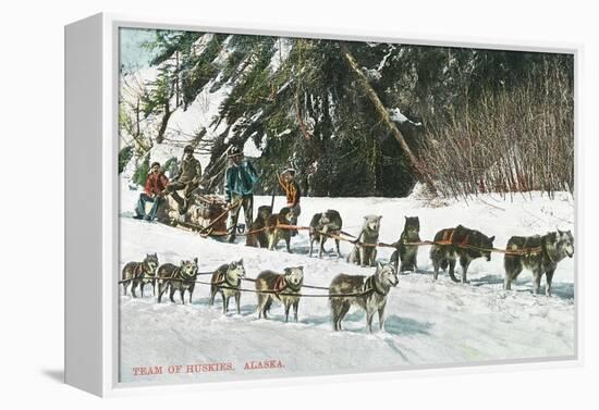 View of a Husky Dog-Sled Team - Alaska-Lantern Press-Framed Stretched Canvas