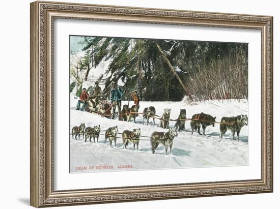 View of a Husky Dog-Sled Team - Alaska-Lantern Press-Framed Art Print