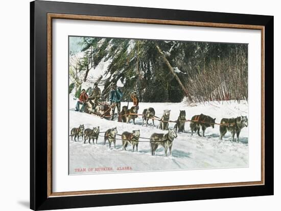 View of a Husky Dog-Sled Team - Alaska-Lantern Press-Framed Art Print