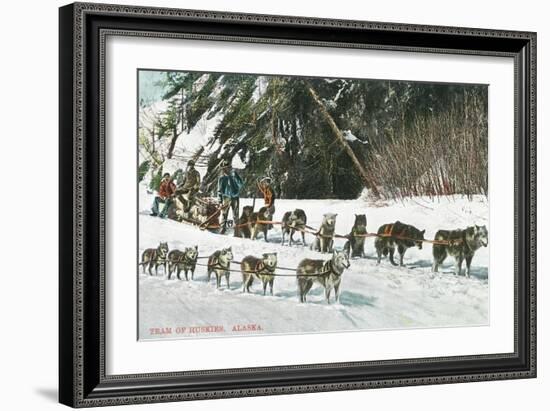 View of a Husky Dog-Sled Team - Alaska-Lantern Press-Framed Art Print