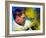 View of a Light-emitting Polymer Researcher-David Parker-Framed Photographic Print