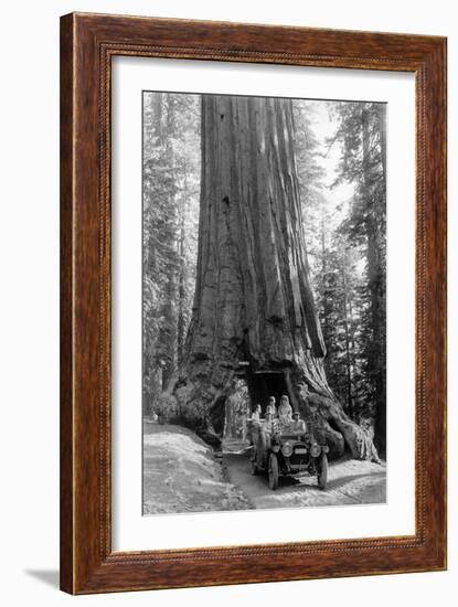 View of a Loaded Model-T Ford under Wawona Tree - Redwood National Park, CA-Lantern Press-Framed Art Print