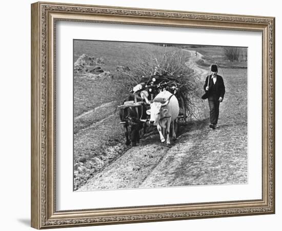 View of a Man Walking with a Cart Full of Wood-William Vandivert-Framed Photographic Print