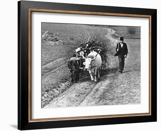 View of a Man Walking with a Cart Full of Wood-William Vandivert-Framed Photographic Print