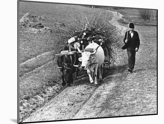 View of a Man Walking with a Cart Full of Wood-William Vandivert-Mounted Photographic Print