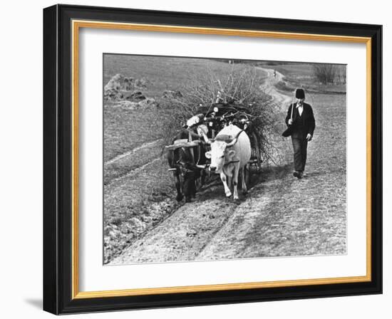 View of a Man Walking with a Cart Full of Wood-William Vandivert-Framed Photographic Print