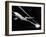 View of a Passenger Jet Flying-null-Framed Photographic Print