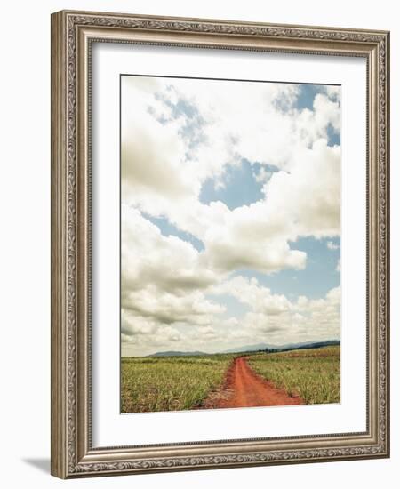 View of a red dirt road through a field-null-Framed Photographic Print