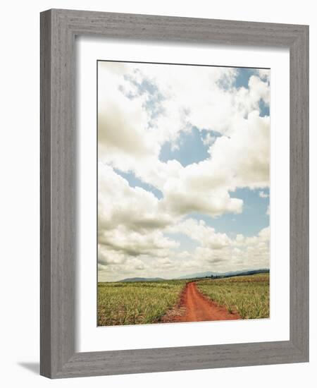 View of a red dirt road through a field-null-Framed Photographic Print