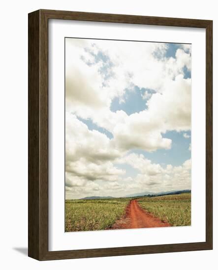 View of a red dirt road through a field-null-Framed Photographic Print