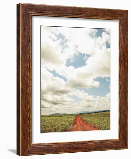 View of a red dirt road through a field-null-Framed Photographic Print