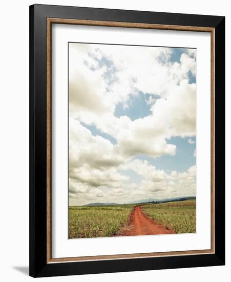 View of a red dirt road through a field-null-Framed Photographic Print